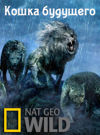 National Geographic. Кошка будущего (2014) - 2 Марта 2015 - ТВ-передачи ОНЛАЙН - Хорошие новости про животных