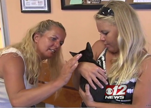 Две девушки спасли котенка, которого выкинули из машины