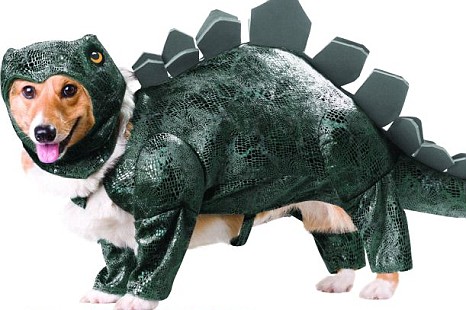 Новая мода на наряды для собак- костюмы динозавров!