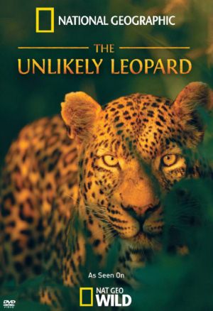 National Geographic: Необычный леопард (2012) - 4 Февраля 2015 - ТВ-передачи ОНЛАЙН - Хорошие новости про животных