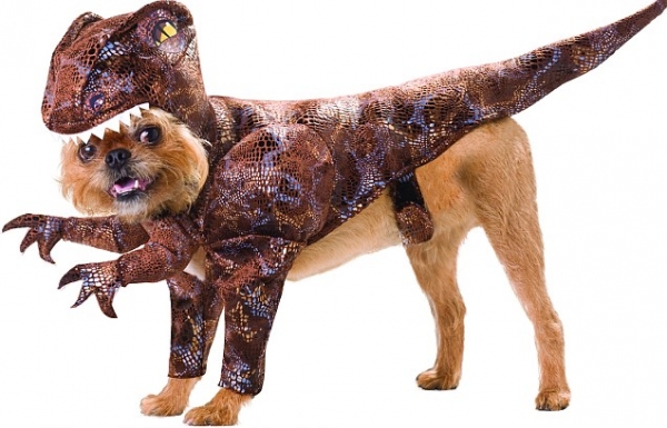 Новая мода на наряды для собак- костюмы динозавров!