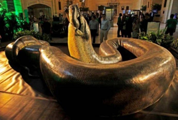 Титанобоа: Самая огромная змея в истории Земли