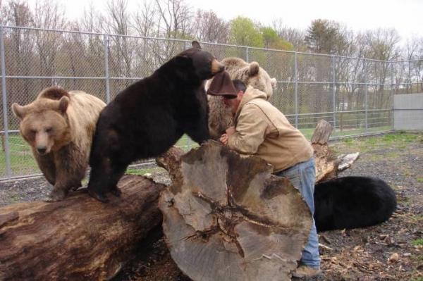 Джим и Джимбо: многолетняя дружба человека и медведя