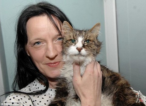 Британке вернули кота, пропавшего 14 лет назад