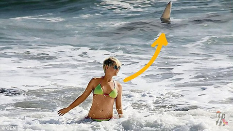 Актриса приняла за дружелюбие попытки отдыхающих предупредить ее о подплывающей акуле…