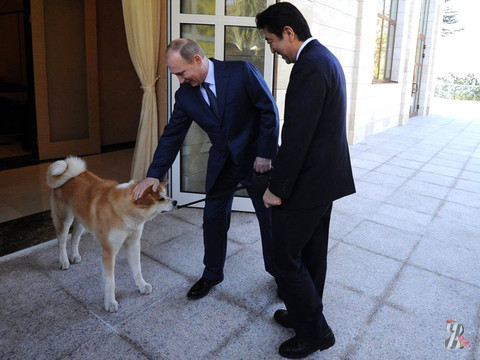 В Японии сожалеют, что Путин не примет в подарок собаку